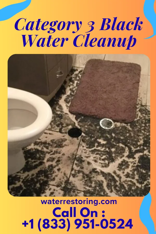 Category 3 Black Water Cleanup in Aberdeen, IN