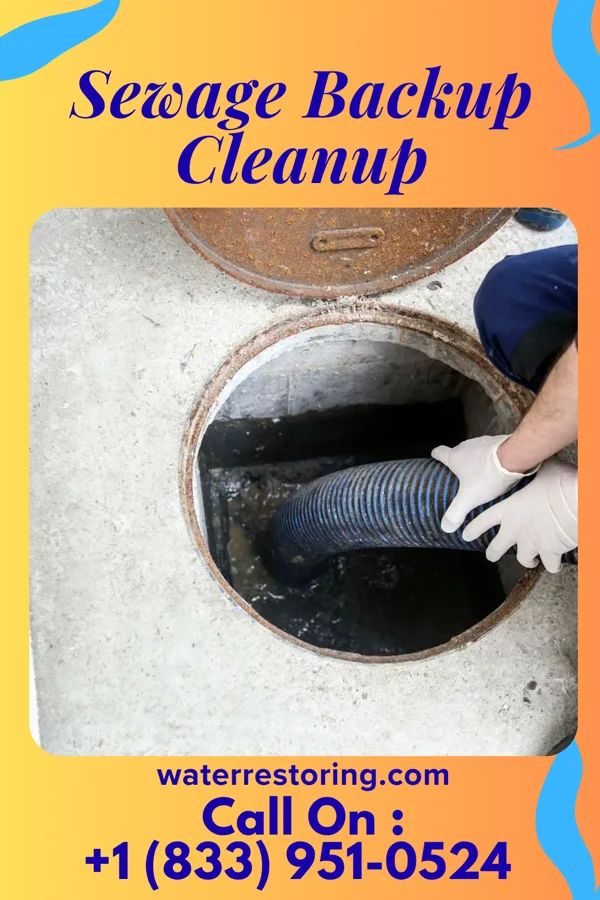 Sewage Backup Cleanup in Aberdeen, IN