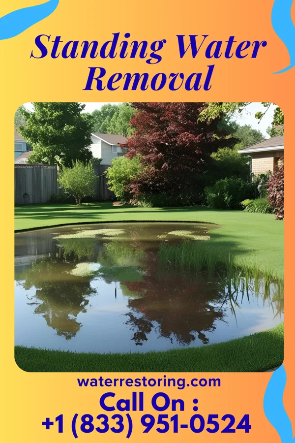 Standing Water Removal in Aberdeen, IN